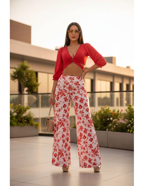 Conjunto Lycra Pitbull - CL298